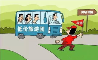 張家界奇幻山水全攻略 行程規劃、精華玩法與實用貼士
